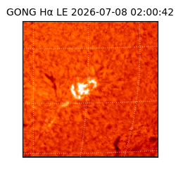 gong - 2026-07-08T02:00:42