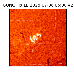 gong - 2026-07-08T06:00:42