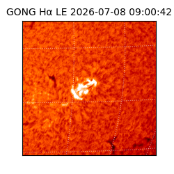 gong - 2026-07-08T09:00:42