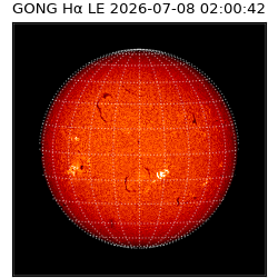 gong - 2026-07-08T02:00:42