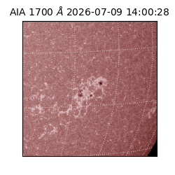 saia - 2026-07-09T14:00:28.716000