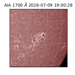 saia - 2026-07-09T19:00:28.717000