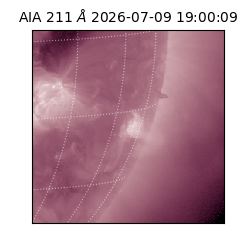 saia - 2026-07-09T19:00:09.622000