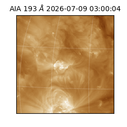 saia - 2026-07-09T03:00:04.842000