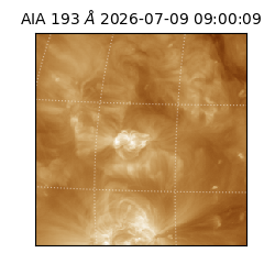 saia - 2026-07-09T09:00:09.474000