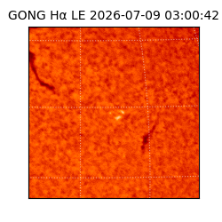 gong - 2026-07-09T03:00:42
