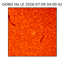 gong - 2026-07-09T04:00:42