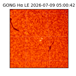 gong - 2026-07-09T05:00:42