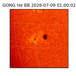 gong - 2026-07-09T01:00:02