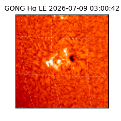 gong - 2026-07-09T03:00:42