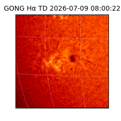 gong - 2026-07-09T08:00:22