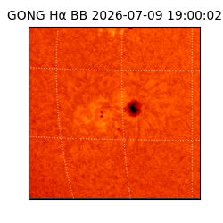 gong - 2026-07-09T19:00:02