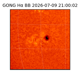 gong - 2026-07-09T21:00:02