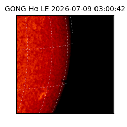 gong - 2026-07-09T03:00:42