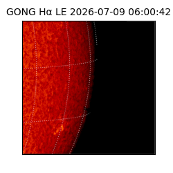gong - 2026-07-09T06:00:42