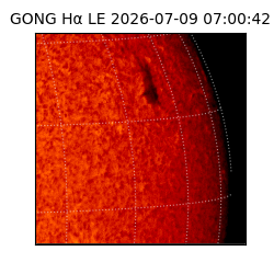 gong - 2026-07-09T07:00:42