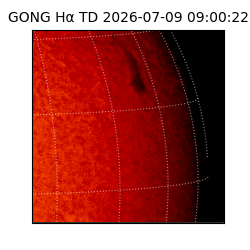 gong - 2026-07-09T09:00:22
