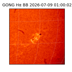 gong - 2026-07-09T01:00:02