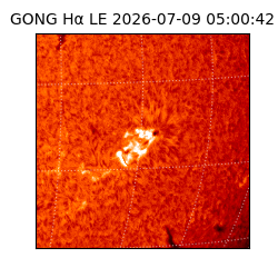 gong - 2026-07-09T05:00:42