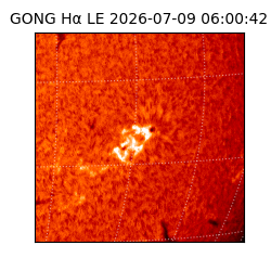 gong - 2026-07-09T06:00:42