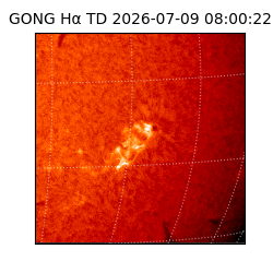 gong - 2026-07-09T08:00:22