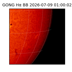 gong - 2026-07-09T01:00:02