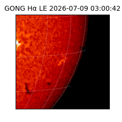 gong - 2026-07-09T03:00:42