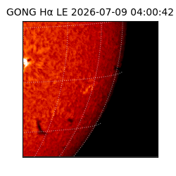 gong - 2026-07-09T04:00:42