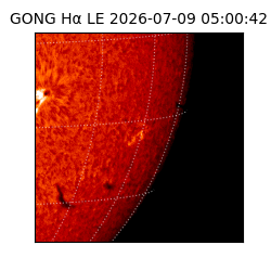 gong - 2026-07-09T05:00:42