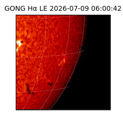 gong - 2026-07-09T06:00:42