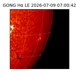 gong - 2026-07-09T07:00:42