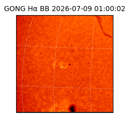 gong - 2026-07-09T01:00:02