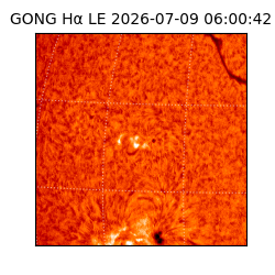 gong - 2026-07-09T06:00:42