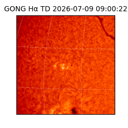 gong - 2026-07-09T09:00:22