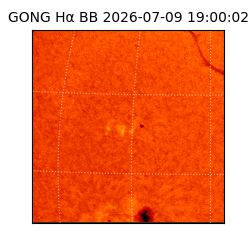 gong - 2026-07-09T19:00:02