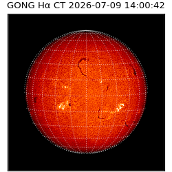gong - 2026-07-09T14:00:42
