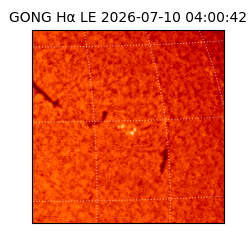 gong - 2026-07-10T04:00:42
