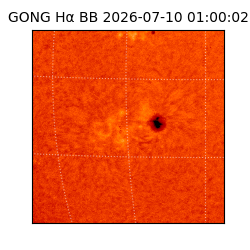 gong - 2026-07-10T01:00:02