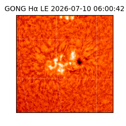 gong - 2026-07-10T06:00:42