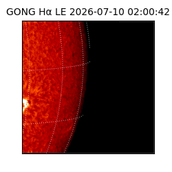 gong - 2026-07-10T02:00:42