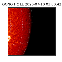 gong - 2026-07-10T03:00:42