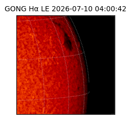 gong - 2026-07-10T04:00:42