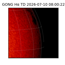 gong - 2026-07-10T08:00:22