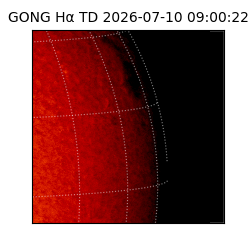 gong - 2026-07-10T09:00:22