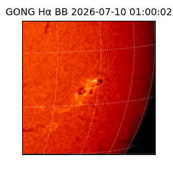 gong - 2026-07-10T01:00:02