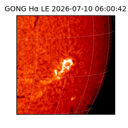 gong - 2026-07-10T06:00:42