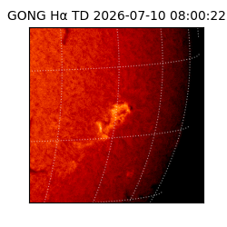 gong - 2026-07-10T08:00:22