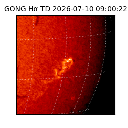 gong - 2026-07-10T09:00:22