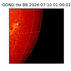gong - 2026-07-10T01:00:02