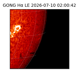 gong - 2026-07-10T02:00:42
